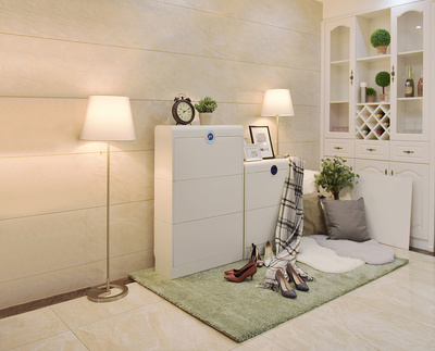 智能鞋柜護(hù)理機(jī) 現(xiàn)代家居護(hù)理的創(chuàng)新設(shè)計(jì)